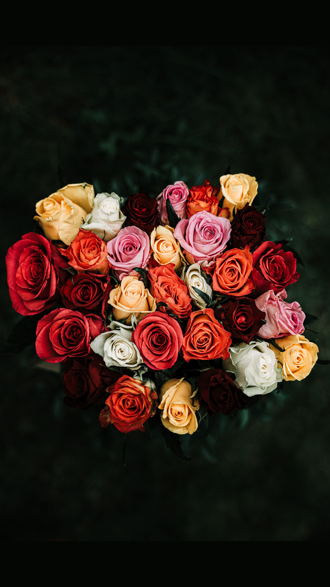 RAMO 24 ROSAS