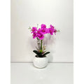 ORQUÍDEA FUCSIA MEDIANA PREMIUM